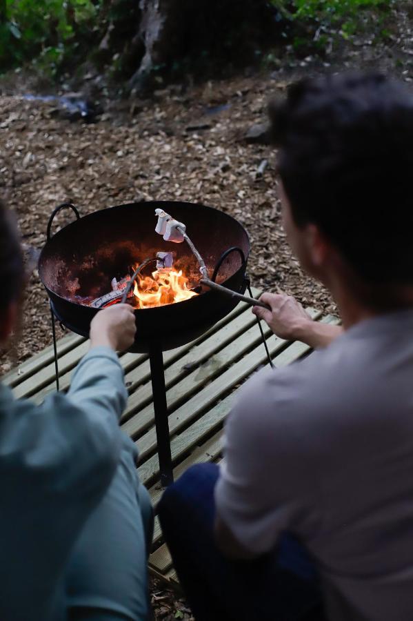 Domaine De Cherimont - Logement Insolite En Groupe Andenne 외부 사진